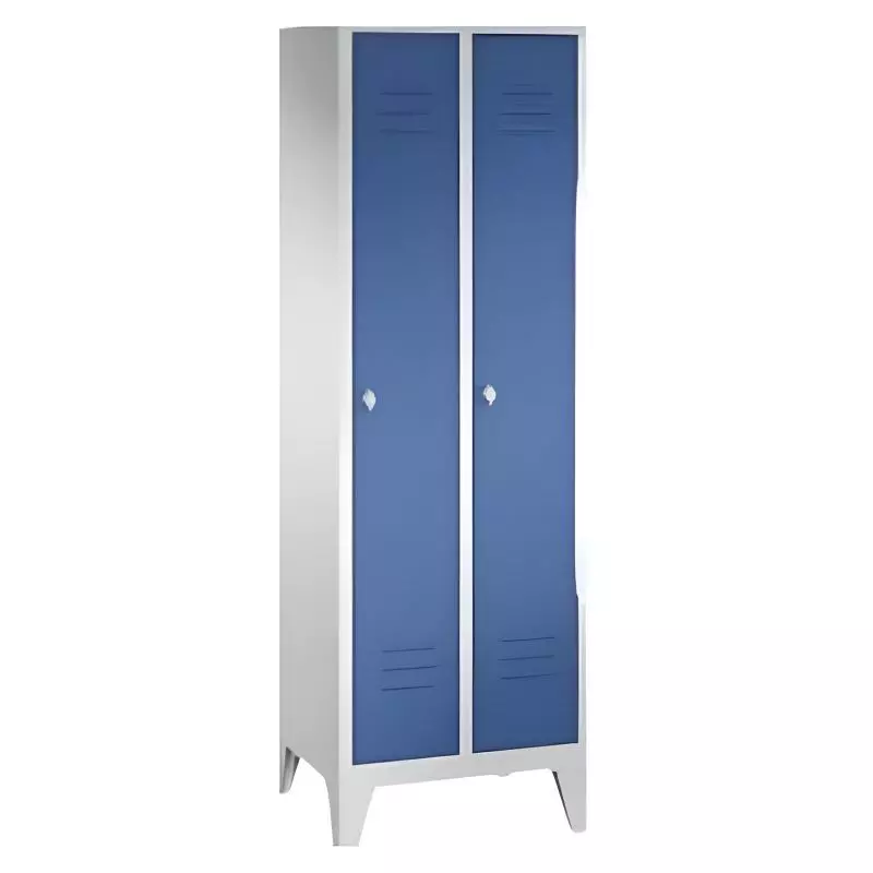 Armoire industrie propre 2 portes