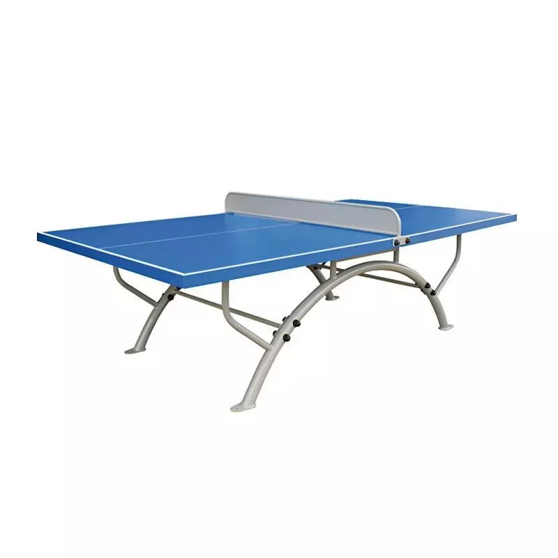 Table de ping pong en résine Champion