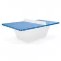 Table de ping-pong professionnelle