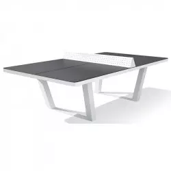 Table ping-pong en composite