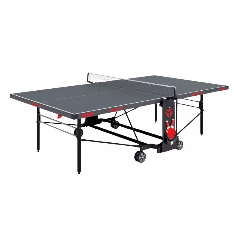 Table de ping-pong professionnelle