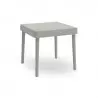 Table basse jardin